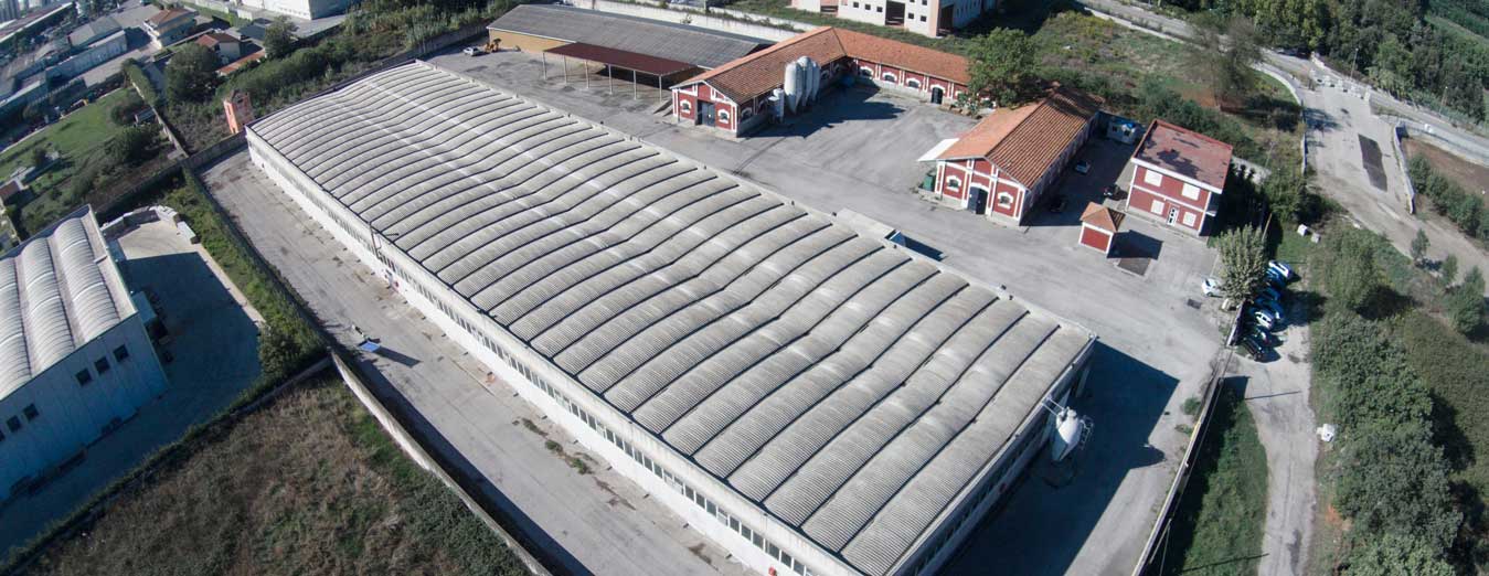 azienda-avicola-salernitana